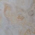 Fornir (12).webp