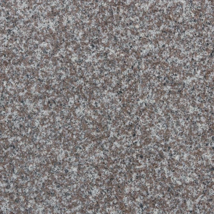 G664 poler.webp