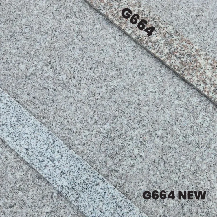 G664 NEW.webp