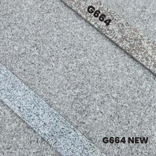 G664 NEW.webp