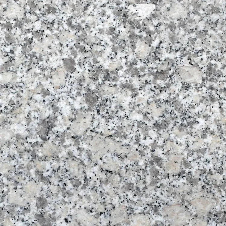 G602 Poler tekstura.webp