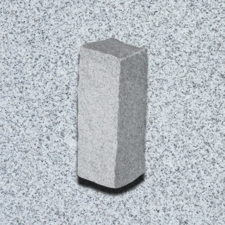 G603 palisada.webp