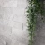 00071  3.webp