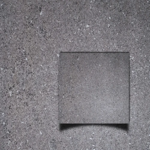 _Black Pearl .webp